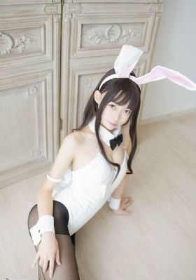 最新电视剧2024