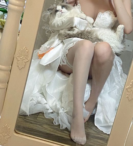 长相思第二季电视剧免费播放